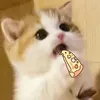 @58373947993382912