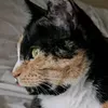 @6730375652375495685