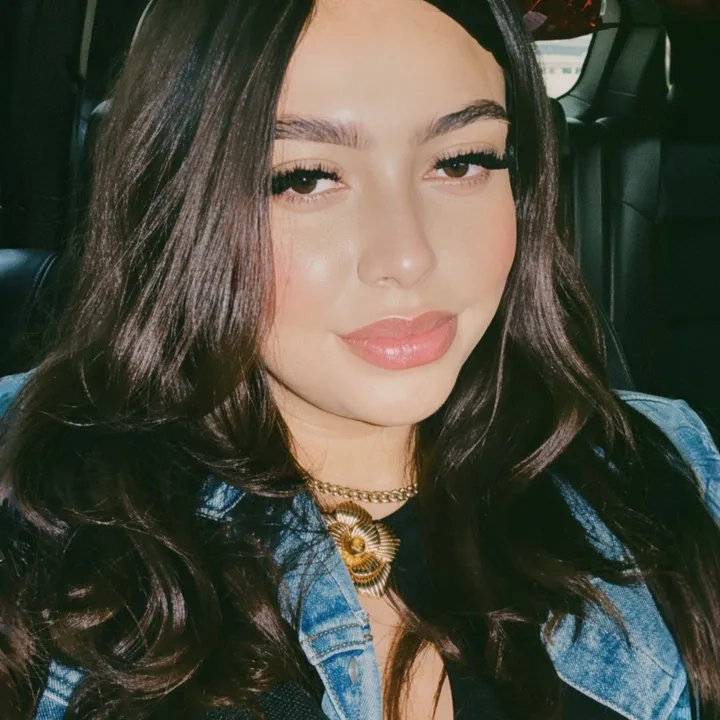 @araidem