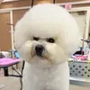 @6838617776337421317