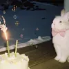 @6866763144380171270