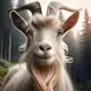@goatpdcts