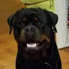 @6935651710085989381