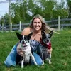 @The Z Cattle Dogs