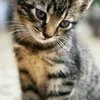 @6974835450688406534