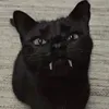 @kittyyreviewss