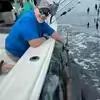 @little_mike_1