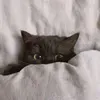 @kevin_martin689