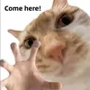 @7167268371173442606