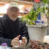 @tada.greenhouse