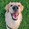 @mauithegolden2