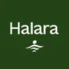@Halara Glam