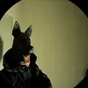 @7279836060053341226