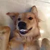 @7290736198241813546