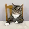 @julio
