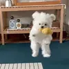 @7295963735697277998