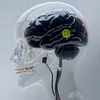 @7301519373378143275