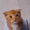 @7304900602818921518