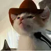 @7310484130135491630