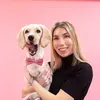 @fairy_dogmother
