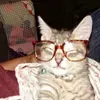 @7321531037096821806