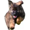 @murphyslawgsd