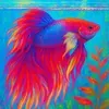 @BotheBetta