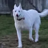 @7387312663888561194