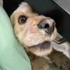@7404498440468546603