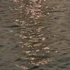 @7416276923247150126