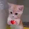 @7426059824884745258