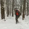 @7428664272991061038