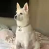 @justcuteshoeslol