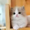 @kookbnmm
