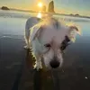 @7435045406444766250