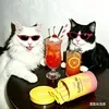 @qingqing18886