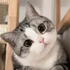 @jhllosywwd8