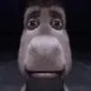 @itsleaxen