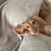 @y.fvi