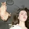 @norber033