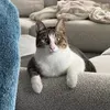 @7488399645155574830