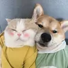 @7492622169194988575