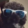 @7494740178943099935