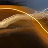 @dylsalez