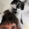 @ftcdealz