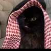 @motortiinn1
