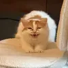 @theviralhomefinds