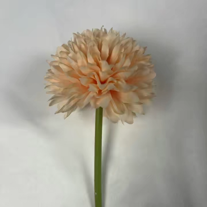 @kyaliu1154