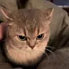 @7506371839812633643