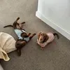 @7512706738895373342